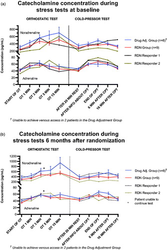 Figure 2. (a) Title: ‘Catecholamine concentrations during stress tests at baseline’. The y-axis denotes catecholamine concentration in pg/mL, and is truncated to bridge the gap between 80 pg/mL and 200 pg/mL. The uppermost cluster of four lines are labelled ‘Noradrenaline’, denoting the noradrenaline concentration, while the same is valid for the lower cluster of four lines, denoting adrenaline. The x-axis is separated by a line into two segments; the left segment illustrating the orthostatic BP test (and all registered time points), while the right segment illustrates the cold-pressor test. The Drug Adjustment group (n = 8) is shown using a solid, blue line. The RDN group (n = 7) is shown using a solid, red line. At each time point, the standard error of the mean is shown by error bars. RDN responder 1 is shown as a separate, dotted, black line. RDN responder 2 is shown as a separate, dotted, brown line. (b). Title: ‘Catecholamine concentrations during stress tests 6 months after randomization’. The y-axis denotes catecholamine concentration in pg/mL, and is truncated to bridge the gap between 80 pg/mL and 200 pg/mL. The uppermost cluster of four lines are labled ‘Noradrenaline’, denoting the noradrenaline concentration, while the same is valid for the lower cluster of four lines, denoting adrenaline. The x-axis is separated by a line into two segments; the left segment illustrating the orthostatic BP test (and all registered time points), while the right segment illustrates the cold-pressor test. The Drug Adjustment group (n = 8) is shown using a solid, blue line. The RDN group (n = 7) is shown using a solid, red line. At each time point, the standard error of the mean is shown by error bars. RDN responder 1 is shown as a separate, dotted, black line. RDN responder 2 is shown as a separate, dotted brown line.