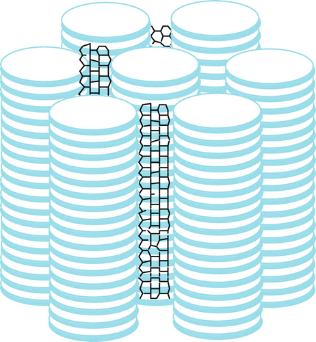 Figure 7. Dispersion of SWNTs in a columnar matrix.