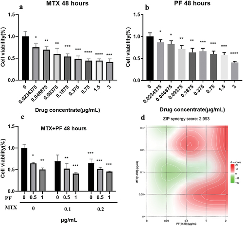 Figure 2. Toxicity of MTX (a), PF (b) and both drugs (c) in 143B cells. (d) Combination synergy score analysis using SynergyFinder 3.0. n = 3 independent experiments; *p < 0.05, **p < 0.01, ***p < 0.001 and ****p < 0.0001 represent significant differences.
