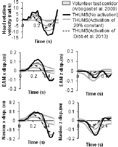 Figure 3 Parametric simulations to investigate effect of muscle activation on head-neck responses during low-speed frontal impacts.