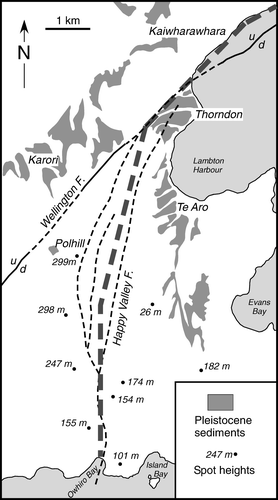 Figure 15  Map showing distribution of Pleistocene sediments, the Wellington Fault, Happy Valley Fault and associated faults, spot heights and localities (from Begg and Mazengarb Citation1996) to illustrate McKay's (1879a) postulated continuation of the Wellington Fault (thick dashed line) from Kaiwharawara to the south Wellington coast. See text.