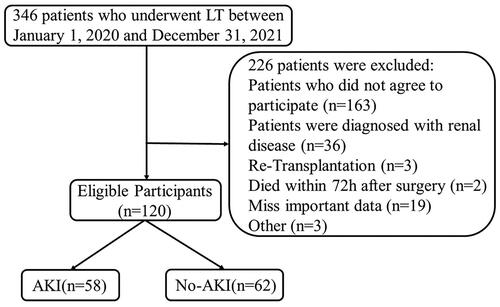 Figure 1. Flow diagram of patient enrolment. Abbreviations: LT: liver transplantation; AKI: acute kidney injury.