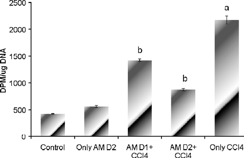 Figure 1.  Effect of pre-treatment of A. marmelos on CCl4-induced cell proliferation response. bp < 0.001, compared with the corresponding value for treatment with only CCl4 treated group. ap < 0.001 compared to corresponding value for saline treated control group. D1 = A. marmelos 25 mg/Kg; D2 = A. marmelos 50 mg/Kg.