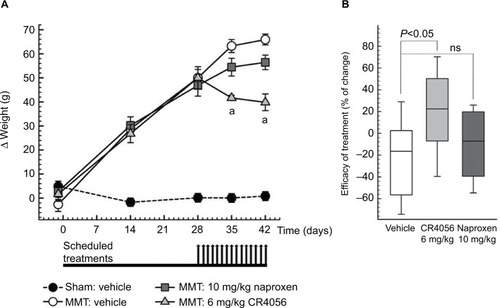 Figure 3 MMT model of OA: effect of CR4056 and naproxen on the behavioral assessment of hind paw weight distribution (HPWD). (A) The difference in HPWD (Δ) between contralateral and ipsilateral knees (in grams) was evaluated 1 day before and 14, 28, 35, and 42 days after MMT surgery using an incapacitance tester. CR4056 (6 mg/kg) and naproxen (10 mg/kg) were administered orally, once a day under the schedule indicated by the arrows positioned in the graph below the axis of time (days). Data, collected 24 hours after the drug administration, represent the mean ± SEM of nine animals per group. aP<0.001 versus MMT control rats treated with vehicle; two-way mixed model ANOVA, Holm-Sidak test. (B) Efficacy of 2 weeks of treatment with CR4056 (6 mg/kg) and naproxen (10 mg/kg) assessed as percent difference between Δ weight measured at day 28 (before the beginning of treatments) and day 42 after MMT surgery. Data (N=9 animals/group) were plotted as box-and-whisker plot. The box spans the interquartile range (25th–75th percentiles), while the line within the box denotes the median. Whiskers extend from the 10th to the 90th percentiles. Statistical significance was calculated by one-way ANOVA followed by Tukey’s multiple comparisons test.