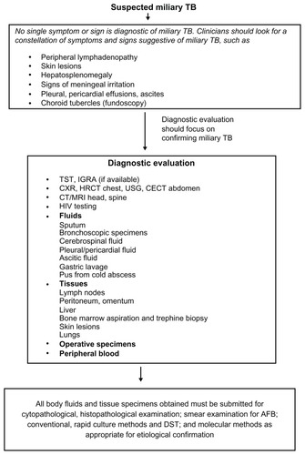 Figure 2 Algorithm for the diagnostic workup of a patient with suspected miliary tuberculosis (TB).