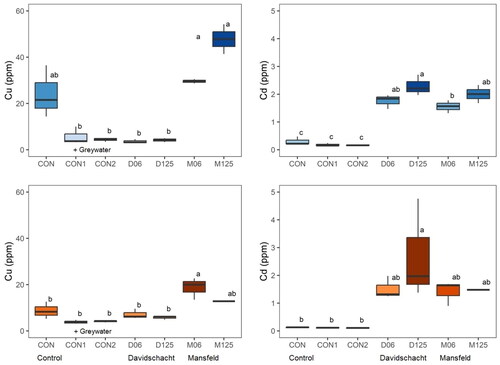 Figure 3. Copper (Cu, ppm) concentrations in the shoot dry biomass produced in the wet (above, blue) and dry (below, orange) grassland mixtures during the first 92 days of the experiment (left) and the respective cadmium (Cd, ppm) concentrations (right). In each of the panels, boxplots are arranged after the control (CON, left) greywater (CON1, CON2) and mine waste treatments (see x-axes). The intensity of color shading is sorted after the median values. Same letters above the boxes indicate non-significant differences between the treatments in post-hoc multiple comparisons (Tukey tests).