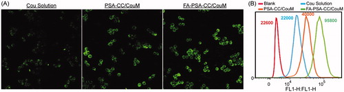 Figure 3. Cellular uptake of PSA-CC micelles and FA-PSA-CC micelles. (A) Fluorescent images of coumarin and coumarin-loaded micelle treated macrophages. (B) Flow cytometric graphs of fluorescent intensity of coumarin in macrophages that treated as listed.