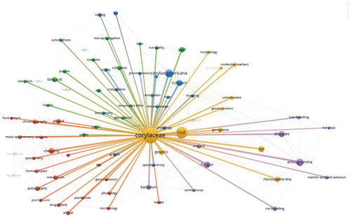 Figure 7. Scientific mapping of the networks among the keywords most used in the Corylus avellana agriculture research (2010–2019). Lines (300) indicate co-occurrence links between terms