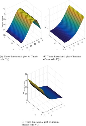 Figure 3. 3D plot of compartment of Cancer dynamical model with Hermite wavelet method with integer order α=1 and m = 256. (a) Three-dimensional plot of Tumour cells U(t). (b) Three-dimensional plot of Immune effector cells V(t) and (c) Three-dimensional plot of Immune effector cells W(t).