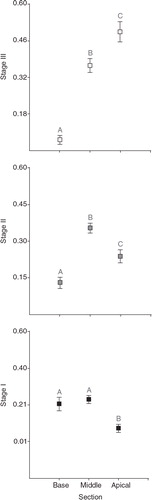 Fig. 7 Mean oocyte stages frequency distribution of Malacobelemnon daytoni in each of the colony sections: basal, middle and apical (n = 671 for basal; n = 3786 for middle and n = 884 for apical) Vertical bars indicate±SD. Letters indicate groups of the a posteriori analysis (p < 0.05).