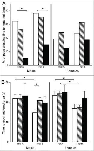 Figure 2. Nest-seeking behavior test performed at PND8. * P < 0.01; # P < 0.1. (A) Percentage of pups crossing the line toward maternal area with the head and the forepaws in males (left) and females (right): negative control group (in white) n = 30; exposed to endocrine disruptors group (striped) n = 44; positive control (VPA) group for autistic features (in black) n = 18. (B) Time spent to reach maternal area for successful pups: males (left) and females (right): negative control group (in white) n = 24; exposed to endocrine disruptors group (striped) n = 32; positive control (VPA) group for autistic features (in black) n = 8.