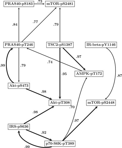Figure 5. Predicted mTOR protein signaling pathway. Based on the results of our comparative evaluation study in Section 5.1, we employed the newly proposed hierarchical Bayesian model from Section 3.1 (NEW) in combination with smoothing splines (SP) to infer the structure of the mTOR pathway from all data points. By running a RJMCMC for each site Zw we posterior sampled the site-specific regulator sets (subsets of the n = 10 other sites). The marginal network interaction probability for the interaction Zi→Zj refers to the proportion of posterior sampled covariate sets of site Zj that contained site Zi as covariate. Shown are the 16 regulatory interactions whose probabilities exceeded the threshold of 0.7. Interactions whose probabilities exceeded the more conservative threshold of 0.9 are displayed by bold edges.