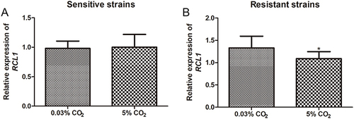 Figure 3 Expression of RCL1 in C. albicans under diverse CO2 condition. (A) The RCL1 level in sensitive C. albicans under 0.03% or 5% CO2 concentration. N = 14. (B) The RCL1 expression in ITR-resistant C. albicans under 0.03% or 5% CO2 concentration. N = 14. *P < 005, compared with the strains cultured with 0.03% CO2.