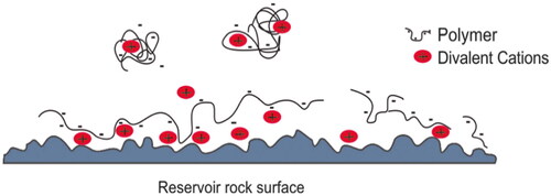 Figure 6. The adsorption mechanism of anionic polymers on reservoir rock surface.[Citation41]