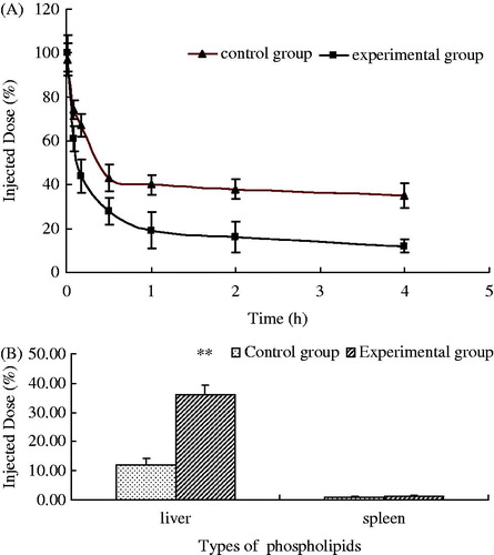 Figure 6. Blood clearance (0–4 h) and biodistribution (4 h) of calcein in guinea pigs after a second injection of PEGylated EPC liposomes (n = 6) (**p < 0.01).