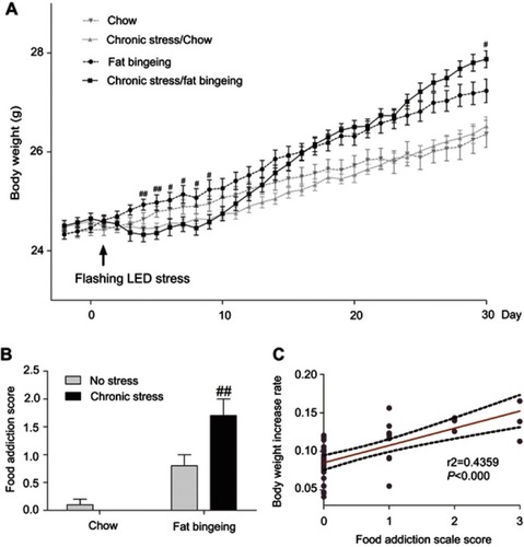 Figure 10 Chronic stress promoted the progress of body weight gain in the fat-bingeing mice (A) and their food addiction score (B). The rate of increase in body weight was positively correlated with the food addiction scale score (C). # denotes significant differences between chronic stress/fat-bingeing group and fat-bingeing group (#P<0.05; ##P<0.001).