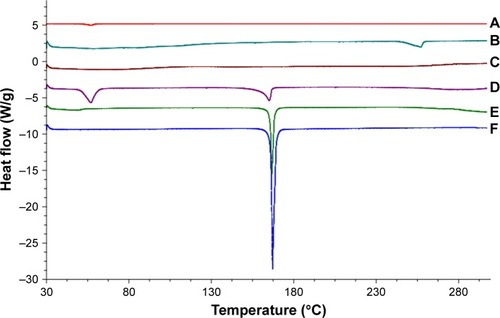 Figure 5 Differential scanning calorimetry curves of (A) GMS, (B) SGC, (C) GPS SGC NLCs, (D) physical mixture, (E) GPS, and (F) cryoprotectant.Abbreviations: GMS, glycerol monostearate; SGC, sodium glycocholate; GPS, gypenosides; GPS SGC NLCs, gypenosides loaded nanostructured lipid carriers containing a bile salt.