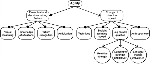 Figure 1. Universal agility components (Young et al., Citation2002).