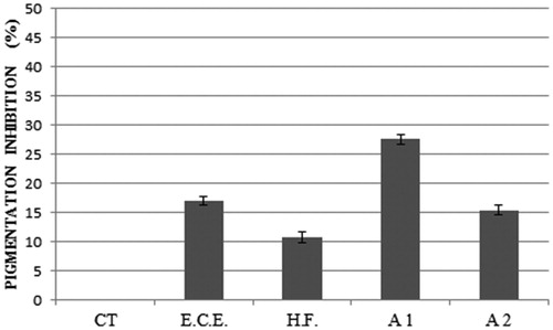 Figure 6. Effect of 312 μg/mL of E.C.E., 78 μg/mL of H.F., 78 μg/mL + 19.5 μg/mL of E.O. and E.C.E., respectively (A1) and 39.36 μg/mL + 10 μg/mL of E.O. and H.F., respectively (A2) on pigmentation inhibition. A1: association 1; A2: association 2; E.C.E.: ethanol crude extract; H.F.: hexane fraction; E.O.: essential oil.