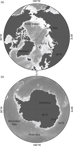 Fig. 1  Locations of sampling sites (white dots) in the (a) Arctic Ocean and the (b) Southern Ocean.