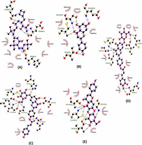 Figure 3. Interactions of the SARS-CoV-2 Mpro (pdb: 6WTT) with Boceprevir (a), Apigenin (b), Apigenin 7-glucoside-4’-p-coumarate (c), Apigenin 7-glucoside-4’-trans-caffeate (d) and Apigenin 7-O-beta-D-glucoside (Cosmosiin) (e) .