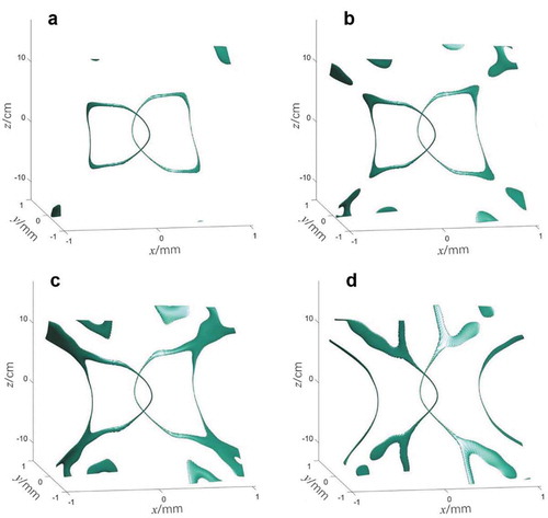 Figure 8. Variation of 3D vortex lines with the decrease of the waist w0 of the incident Gaussian beam [Citation73]. (a) w0→∞; (b) w0 = 8; (c) w0 = 6; (d) w0 = 4. The vortex lines are mapped from the connection of phase singularities. w0 is a normalized waist with respect to the pre-modulated w. Figures reproduced from ref [Citation73]., Copyright 2020, Chinese physical society and IOP publishing Ltd