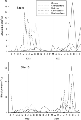 Figure 5 Algae population dynamics (as biovolume), by major group, at Table Rock Lake, James River arm.