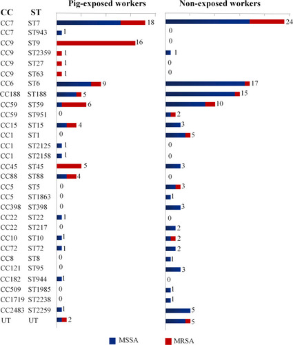 Figure 2 S. aureus sequence type diversity and distribution of S. aureus isolates among pig-exposed workers (80 isolates) and non-exposed workers (109 isolates).