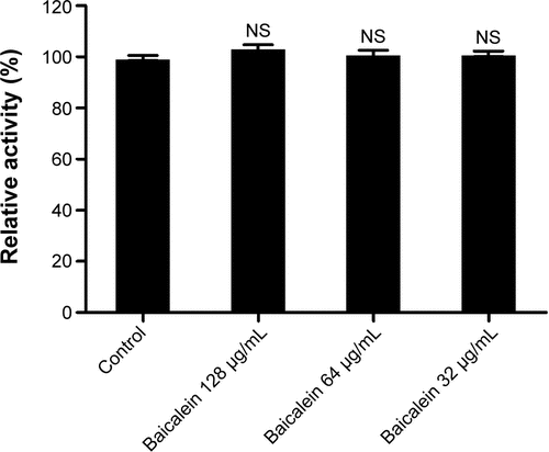 Figure S2 Effects of different sub-minimum inhibitory concentration levels of baicalein on the viability of primary macrophages evaluated using the MTT assay.