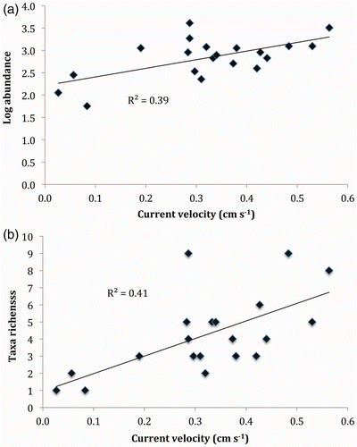 Figure 1. The effect of current velocity on the structure of macroinvertebrate communities inhabiting wood surfaces in Beaver Creek. Macroinvertebrates were collected from 20 submerged logs using a 177 cm2 quadrat and the log number of individuals (a) and taxonomic richness (b) was determined for each sample.
