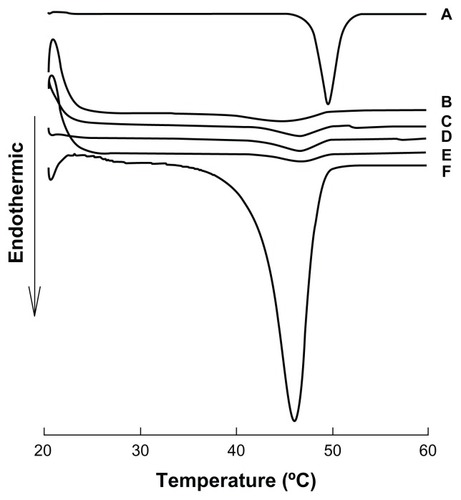 Figure 5 Differential scanning calorimetry patterns of dried suspensions of coenzyme Q10 nanocrystals of different sizes and coarse suspensions.Notes: (A) Coarse suspensions; (B) 80 nm, (C) 120 nm, (D) 400 nm, (E) 700 nm; (F) 50-fold concentrated 120 nm nanocrystal suspensions.