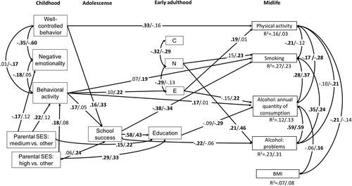 Figure 2. Longitudinal path model for the associations between personality characteristics, cognitive skills and midlife health behaviours. Note. Only significant paths with standardised path coefficients are shown separately for women/men. Coefficients p < .05 are in bold. SES: socioeconomic status; C: conscientiousness; E: extraversion; N: neuroticism; BMI: body mass index.