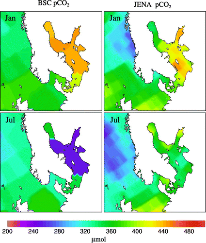 Figure 4. January and July examples of the different p maps used for the Baltic Sea. Left panel contains the BSC, while right panel contains monthly means from the JENA p surface product.
