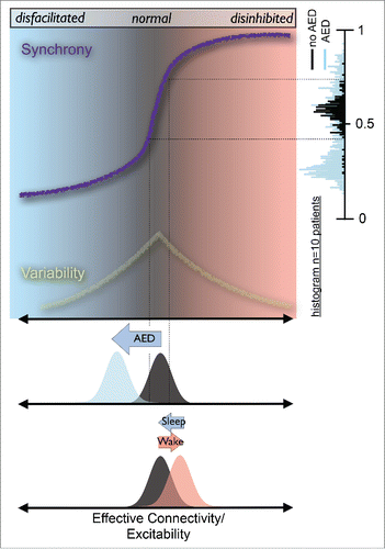 Figure 1. Increasing evidence from computationalCitation1, cell cultureCitation2 and humanCitation3 studies suggests a close link between cortical network synchrony and effective connectivity. As connectivity, or more generally excitability, is increased, network synchrony increases rapidly (schematically depicted by purple line). Long-term monitoring indicates that human cortical networks reside in the vicinity of this synchronization transition (black histogram) whereas AED, on average, shift networks toward lower synchrony (blue histogram). The link between synchrony and excitability allows an approximate mapping of these synchronization changes to excitability (black dotted lines). AEDs shift cortical excitability to lower levels. Conversely, wake moves cortical networks to higher excitability (and synchrony) which is recovered by sleep.