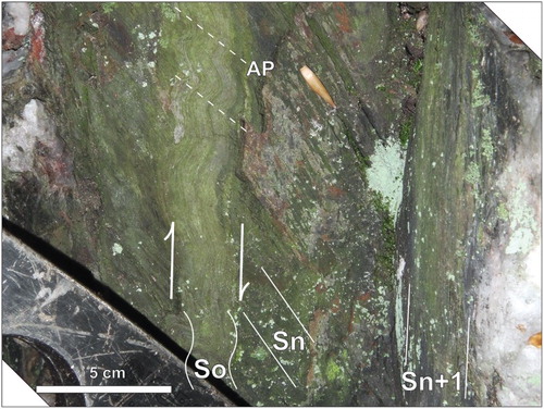 Plate 2. Multiple fabrics in the Wepawaug phyllite (SDws). In this north-facing photograph psammitic bedding (So) isasymmetrically folded. The axial planes (AP, dashed lines) of these folds are subparallel to the dominant muscovite-chlorite cleavage in adjacent phyllitic layers (Sn). The orientation of cleavage refraction between psammitic and phyllitic layers suggest dextral shear during fabric formation (arrows). In the right-hand side of the image, this fabric is sharply truncated by another muscovite-chlorite fabric (Sn + 1) that contains weakly boudinaged quartz veins.