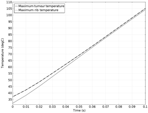 Figure 21. Temperatures of rib and tumour after 0.1-s ablation time.