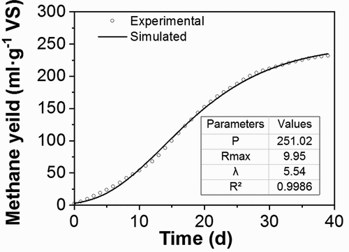 Figure 6. Fitting of the modified Gompertz model to the experimental data of optimized fermentation