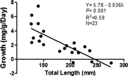 Figure 1. Relationship between growth rate (mg g−1 day−1) and total length (TL) of brown trout recaptured in Badger creek on 15 March 2012.