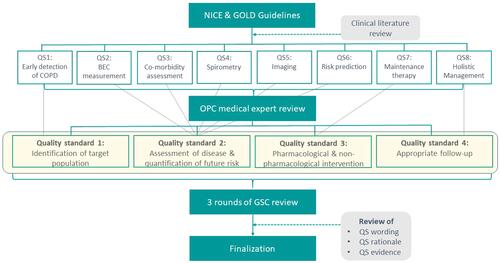Figure 1 CONQUEST quality standards development process.