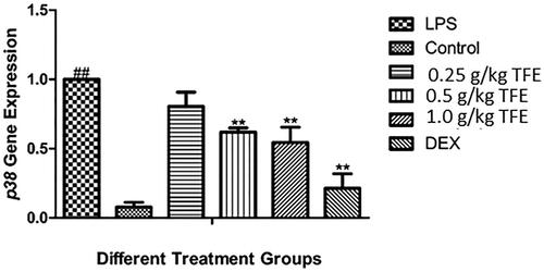 Figure 6. Effects of TFE on the p38α gene expression in MAPK signaling pathway in lung tissues of LPS-induced ALI. (#compared with the control, *compared with LPS, **/##p < 0.01). (#compared with the control, *compared with LPS, **/##p < 0.01).