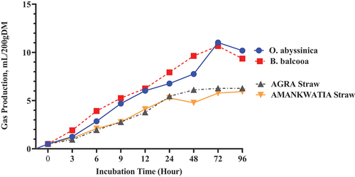 Figure 3. Cumulative in vitro gas production (mL/200gdm) patterns for Bambusa balcooa (Beema) and Oxytenanthera abyssinica (A. Rich.) Munro and rice straws (AGRA and AMANKWATIA rice varieties). Data points (ml) are means of triplicates samples (n =3) per 200mgDM.