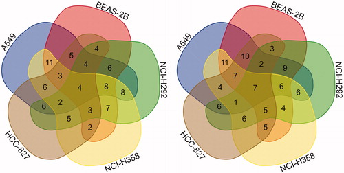 Figure 1. Venn diagram: the number of selected genes (Left: upregulated genes, Right: down regulated genes).