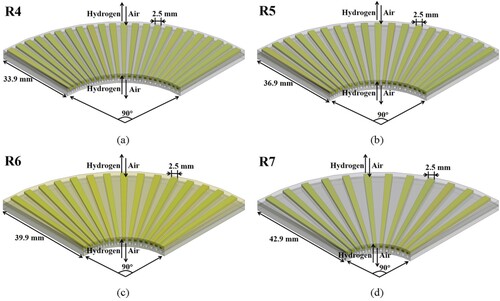 Figure 3. Radial flow fields with different radial lengths.