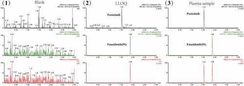 Figure 2. MRM chromatograms of poziotinib and IS. (1) Blank plasma sample, (2) blank plasma sample with poziotinib (LLOQ) and IS, and (3) plasma sample 2 h after dosing poziotinib with oral administration.