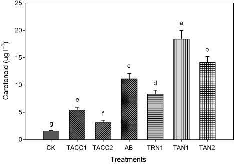 Figure 10. Comparative effectiveness of ACC-deaminase and/or nitrogen-fixing rhizobacteria on carotenoid content of tomato. Different letters (a–g) on bars indicate significant differences of mean values for chlorophyll content. Bars represent standard errors.CK, control; AB, Azotobacter