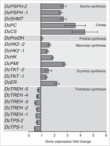 Figure 3. Differential gene expression patterns of expressed genes involved in TCA cycle of CLas-infected and uninfected D. citri. The complete list of expressed genes is available Table 2.