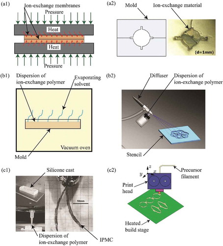 Figure 3. Methods of shaping ionomeric materials such as Nafion: (a1) heat and pressure are used to fuse Nafion membranes together (hot pressing), (a2) ion-exchange material is pressed into a heated mold, (b1) solvents are evaporated out of Nafion dispersions in a vacuum oven (dispersion recasting), (b2) dispersion is patterned onto the surface of a material using a stencil, (c1) freeform fabrication of IPMCs using dispersions of ionomeric material cast into a 3D-printed silicone mold and fused filament fabrication of precursor to ion-exchange material. Figure (a2) reprinted with permission from [Citation223]. Figure (b2) reprinted with permission from [Citation224]. Figure (c1) reprinted with permission from [Citation4]. Figure (c2) reprinted with permission from [Citation11].