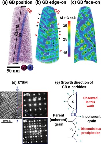 Figure 2. Precipitation state in samples age-hardened at 550°C for 16 h. (a) 3D atomic map of C and B to highlight GB position. (b, c) κ-carbides visualization via 3D concentration maps of Al + C from a GB edge-on and GB face-on perspectives, respectively. (d) 4D-STEM observations of the GB region imaged along the [001] zone axis. (d1) Virtual dark field image. (d2, d3) diffraction patterns from the matrix and a GB κ-carbides, respectively. (e) The direction of GB κ-carbides growth observed in this work (top) compared with the growth direction during discontinuous precipitation (bottom).