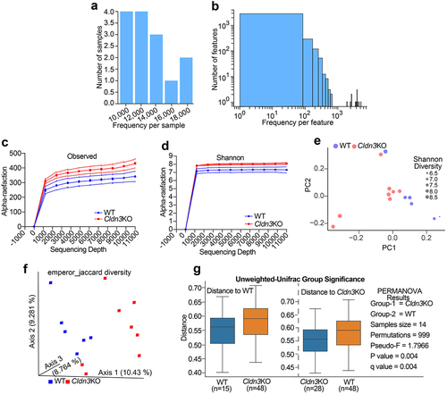 Figure 5. Loss of endogenous Cldn3 expression alters gut microbial composition.