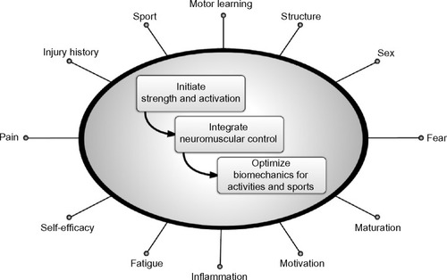 Figure 6 Theoretical framework for hip-focused neuromuscular exercises to modify dynamic lower extremity valgus.